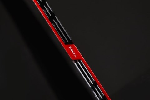 Pamięć RAM G.Skill TridentZ Series - DDR4 - 16 GB: 2 x 8 GB - DIMM 288-pin - unbuffered