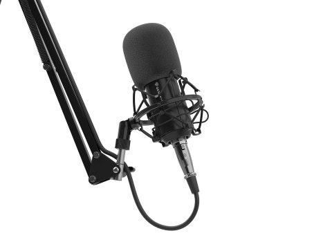 GENESIS Radium 300 XLR Czarny Mikrofon studyjny