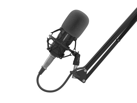 GENESIS Radium 300 XLR Czarny Mikrofon studyjny