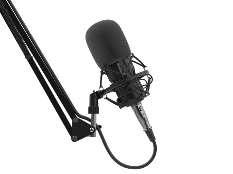 GENESIS Radium 300 XLR Czarny Mikrofon studyjny