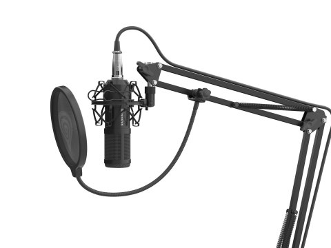 GENESIS Radium 300 XLR Czarny Mikrofon studyjny