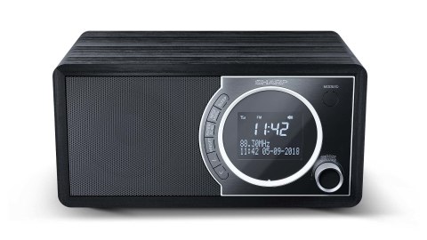 Sharp DR-450 Osobisty Cyfrowy Czarny, Stal nierdzewna