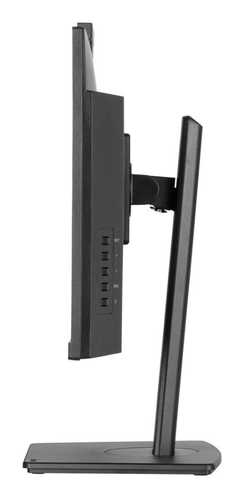 Monitor Iiyama TFT XUB2490HSUH IPS 24''//HDMI/DP/USB/Webcam/hoev - Płaski ekran - 60,5 cm