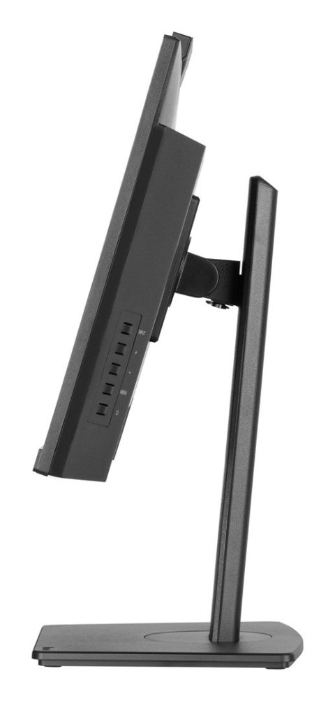 Monitor Iiyama TFT XUB2490HSUH IPS 24''//HDMI/DP/USB/Webcam/hoev - Płaski ekran - 60,5 cm