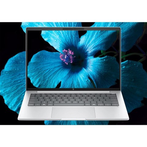 HP EliteBook 8 G1i Ultra 7 255U 14.0"WUXGA IPS 400nits Eye Ease AG 24GB DDR5 5600 SSD512 Arc Cam 5Mpx 62Wh W11Pro Srebrny lodowi