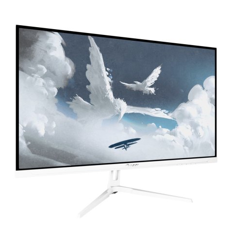 Arozzi Nova 27" monitor komputerowy 68,6 cm (27") 2560 x 1440 px Quad HD LED Biały