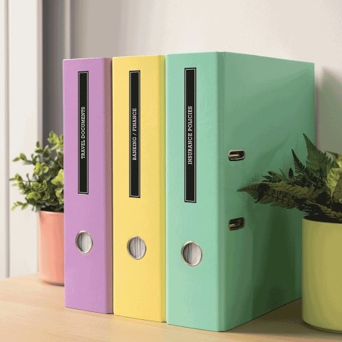 Drukarka etykiet Brother P-touch N25BT