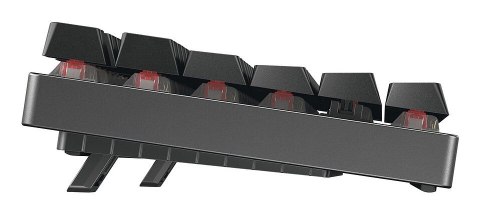 Klawiatura bezprzewodowa CHERRY MX 8.2 TKL WL (bez walizki)