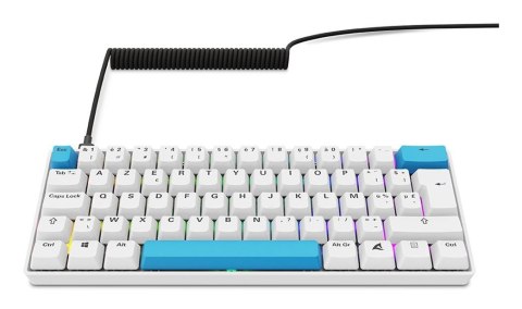 Klawiatura gamingowa Sharkoon Skiller SGK50 S4 Gen2 PBT wei-gel RGB