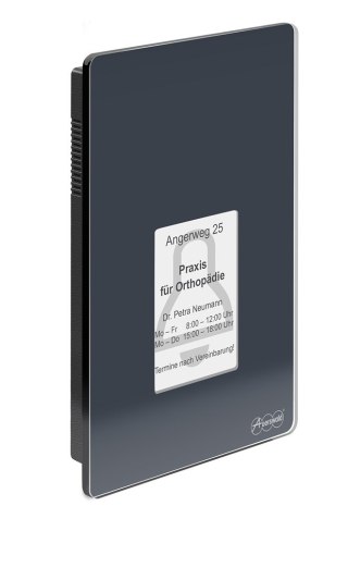 Terminal kontroli dostępu TFS-Dialog 400 z czytnikiem linii papilarnych - Antracyt