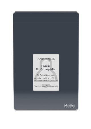 Terminal kontroli dostępu TFS-Dialog 400 z czytnikiem linii papilarnych - Antracyt