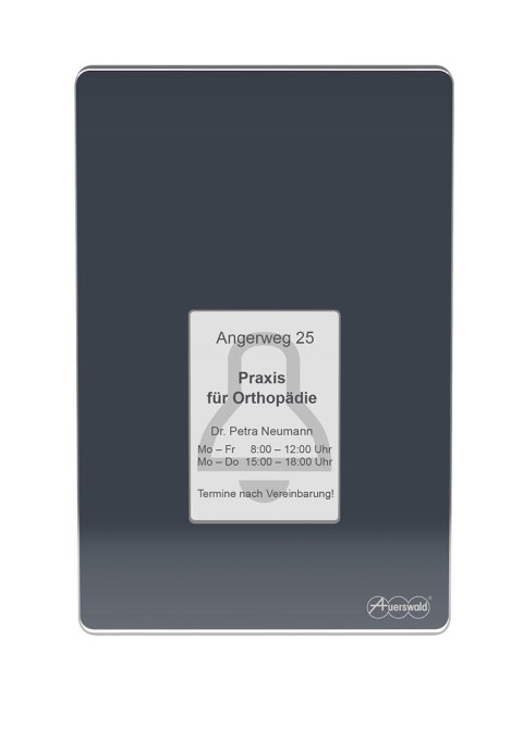 Terminal kontroli dostępu TFS-Dialog 400 z czytnikiem linii papilarnych - Antracyt