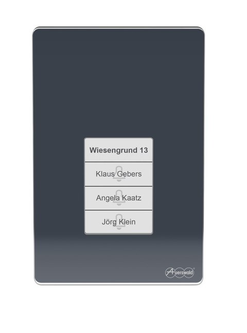 Terminal kontroli dostępu TFS-Dialog 400 z czytnikiem linii papilarnych - Antracyt