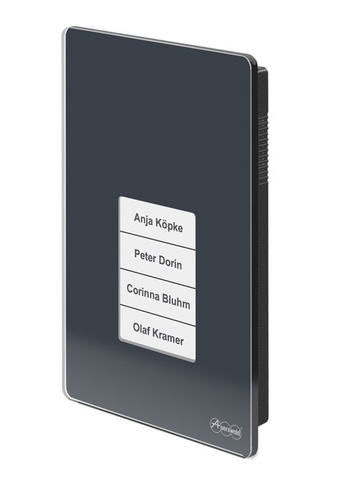 Terminal kontroli dostępu TFS-Dialog 400 z czytnikiem linii papilarnych - Antracyt