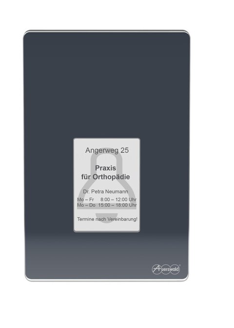 Terminal kontroli dostępu TFS-Dialog 400 z czytnikiem linii papilarnych - Antracyt