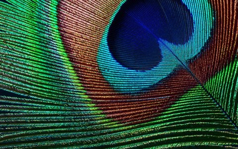 EPSON PROJEKTOR EH-TW7000 LCD 3000ANSI 4K 40000:1