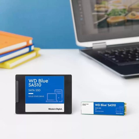SSD SATA M.2 1TB 6GB/S/BLUE SA510 WDS100T3B0B WDC