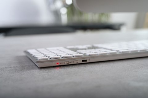 KW 9100 SLIM FOR MAC KEYBOARD/WIRELESS SILVER GERMANY