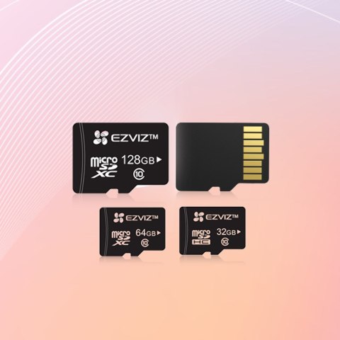 Karta Ezviz D Series MicroSDXC 64 GB Class 10 UHS-I