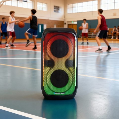 System audio BLAUPUNKT PB60X