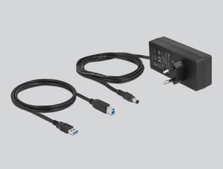 DeLOCK Hub zewnętrzny USB 5 Gbps - 13 Portów + Switch